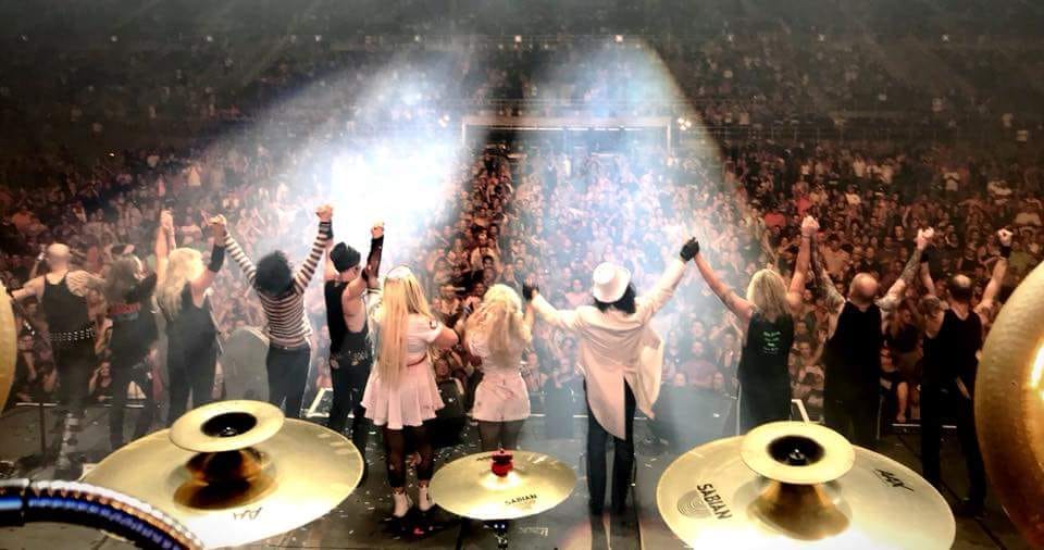 Hairball photo