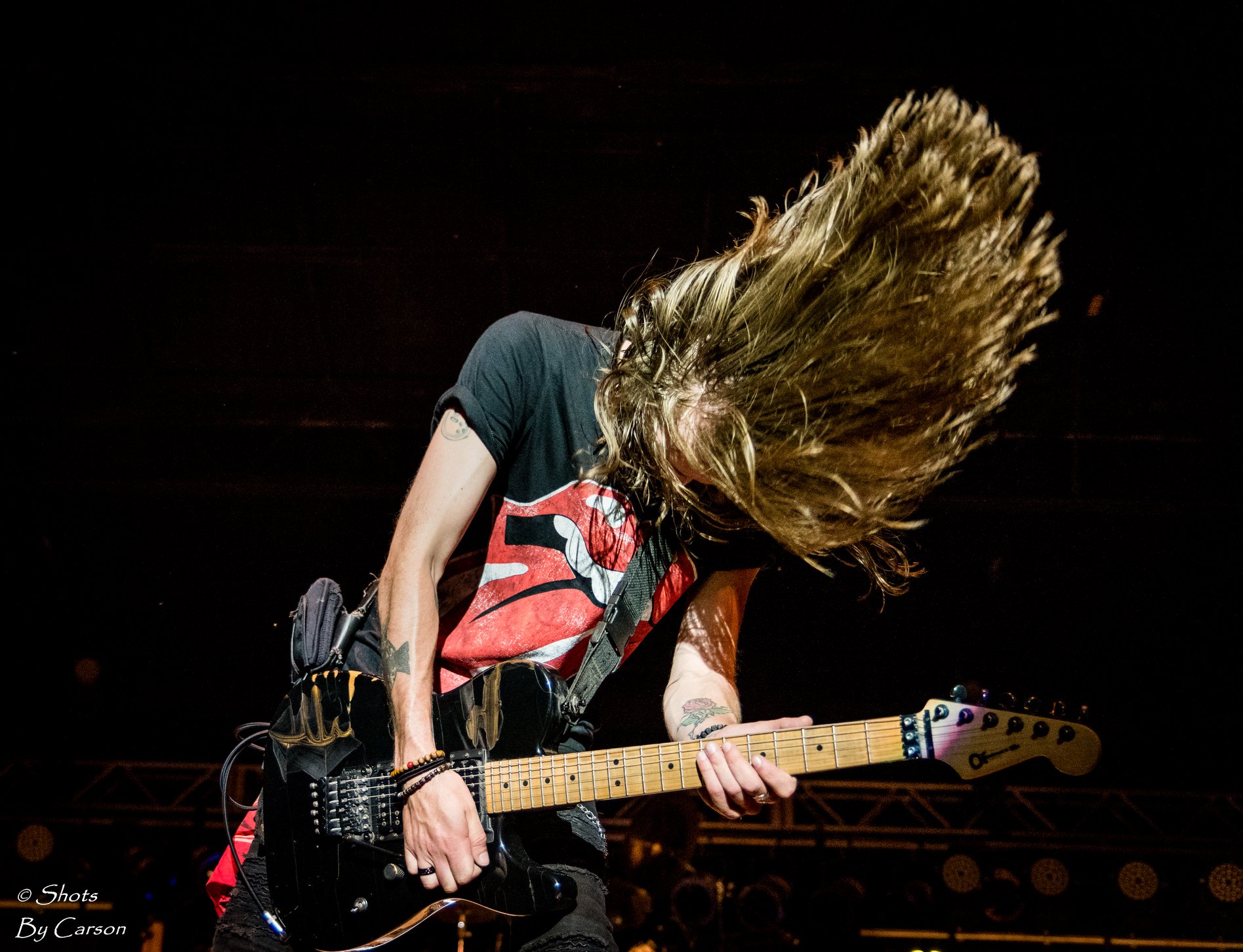 Hairball photo